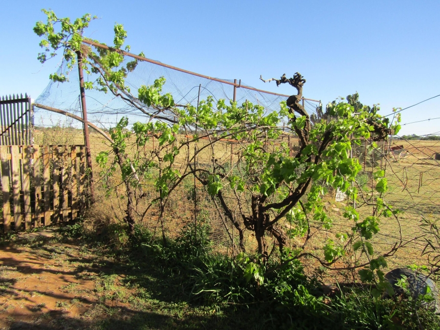 4 Bedroom Property for Sale in Bainsvlei Free State